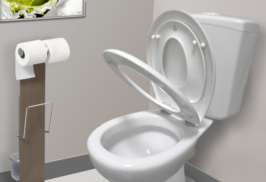 Abattant WC accessible enfant KIDS d'Allibert