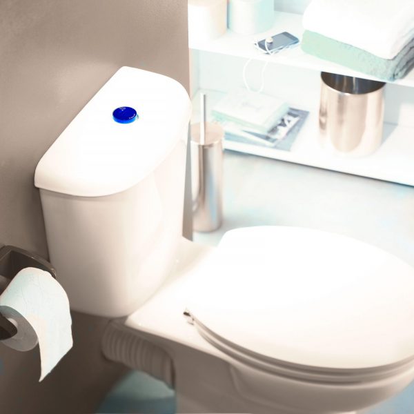 Abattant WC avec frein de chute DIPLOMAT de Wirquin Pro