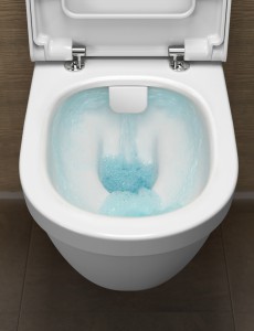 WC sans bride S50 de VitrA salle de bains