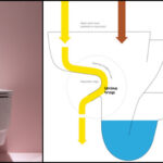 La cuvette à séparation d’urine Save! de Laufen pour mieu...